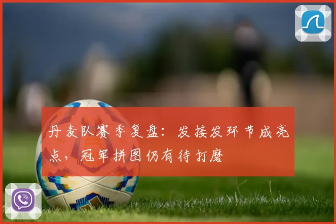 丹麦队赛季复盘：发接发环节成亮点，冠军拼图仍有待打磨